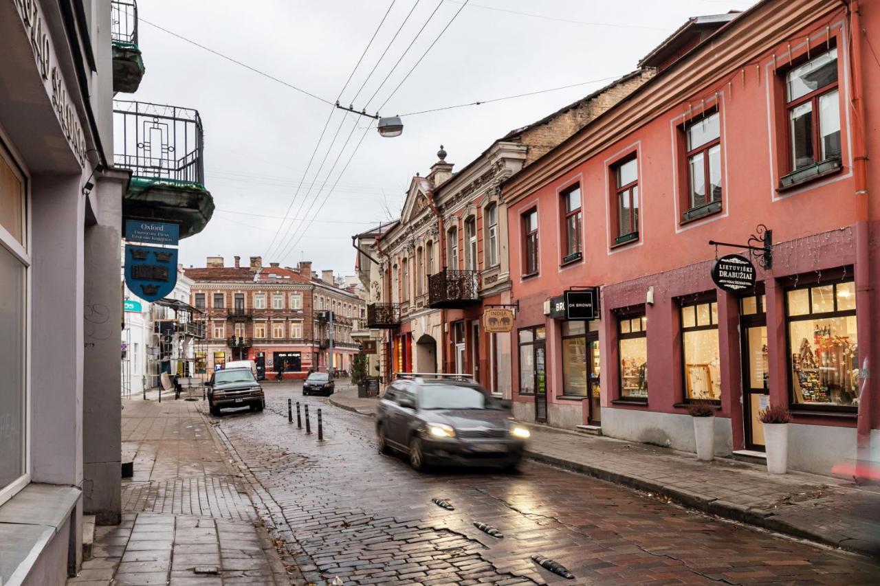 Lovely Apartment Traku Str. Vilnius Exterior photo