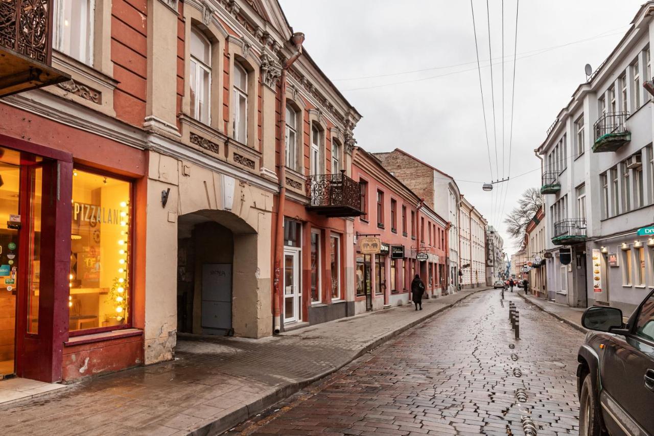 Lovely Apartment Traku Str. Vilnius Exterior photo